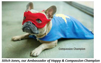 stitch compassion cape