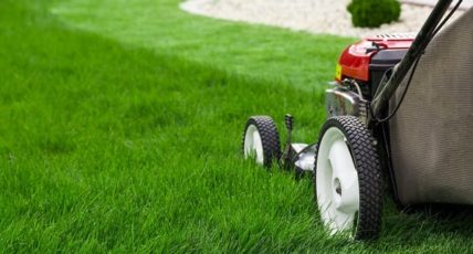 When It Comes to Your Investment Portfolio, Mow Your Grass