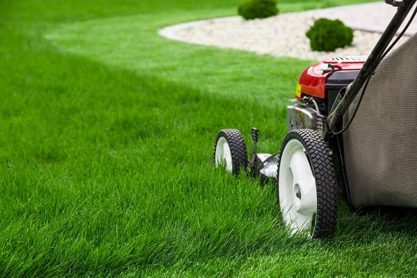 mow your grass investment portfolio