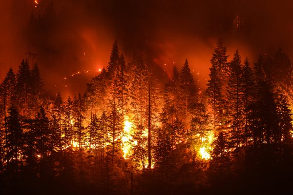 west coast wildfires documents to take in an evacuation