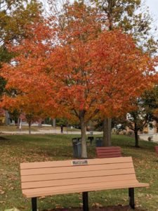 sue crisman lake bench honor a lost loved one