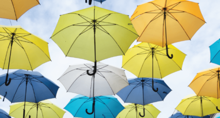 Group vs. Individual Life Insurance: What Are Your Options?