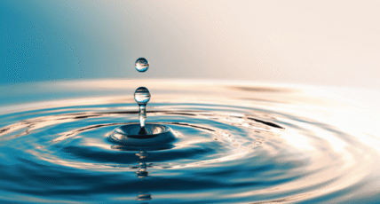 Invest With Impact: Grow Your Wealth, Reflect Your Values