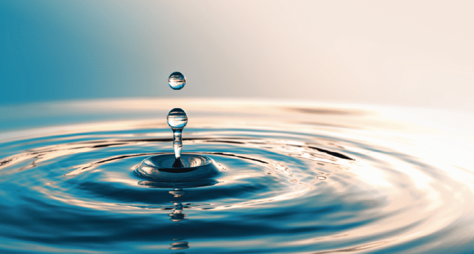 Invest With Impact: Grow Your Wealth, Reflect Your Values