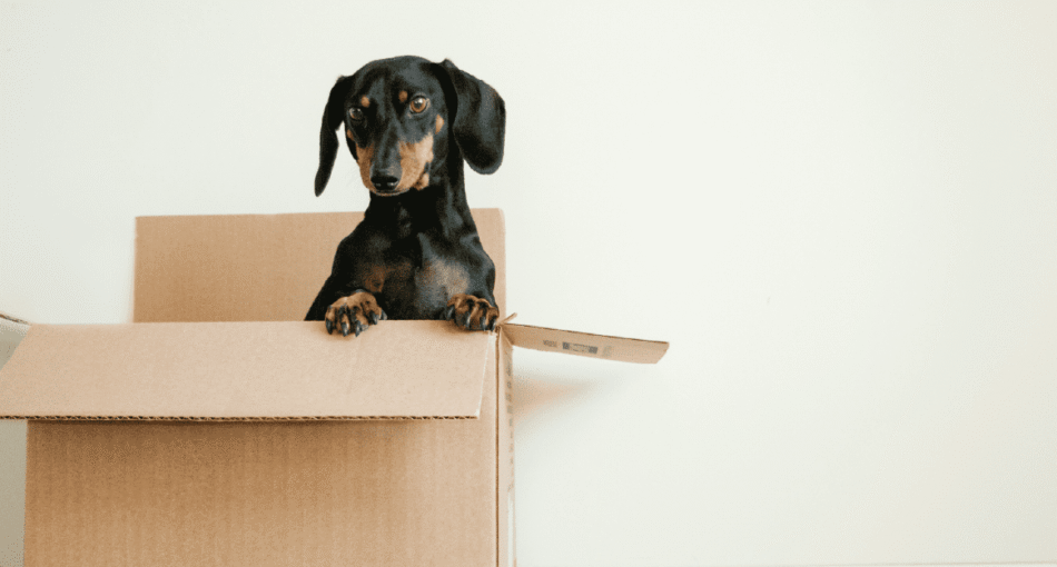 Should I Stay or Should I Go? A Framework for Thinking Clearly